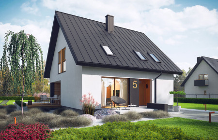 Mini 5