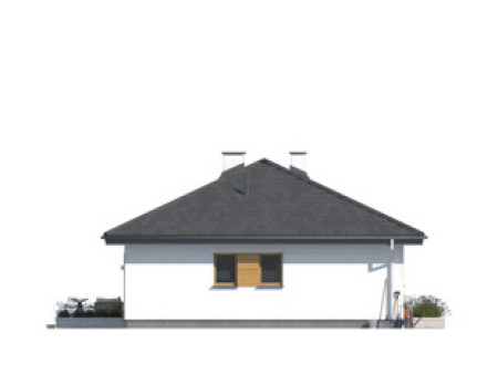 Awokado (CE)
