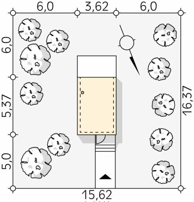 Szyszka dr-S (DR-S)