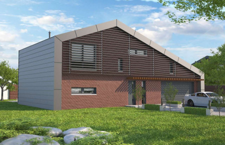 Temerin II (DCP313A)