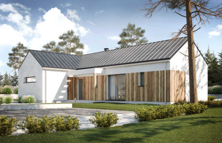 Ribeira II (DCB135a)