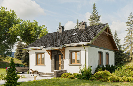 Czyżyk (wer.tech.2)