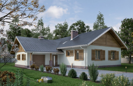 Żuczek As (wer.tech.2)