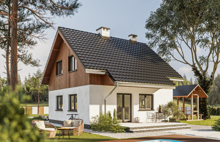 Groszek (wer.tech.2)