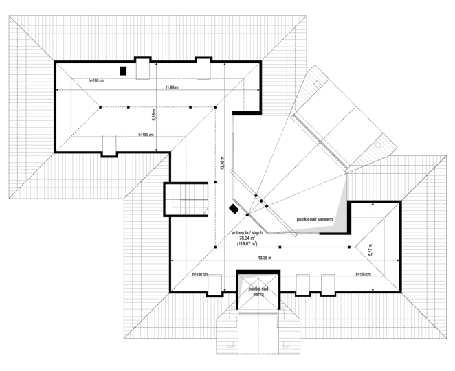 Willa Parkowa 6 modern B