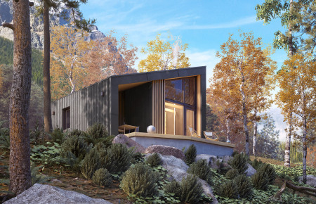 Szyszka 2 dr-S (DR-S)