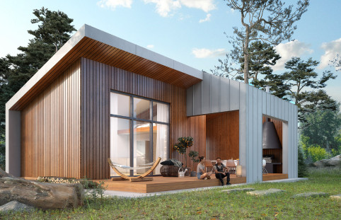 Śmiałek dr-S (DR-S)