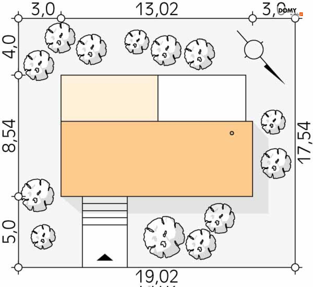 Śmiałek dr-S (DR-S)