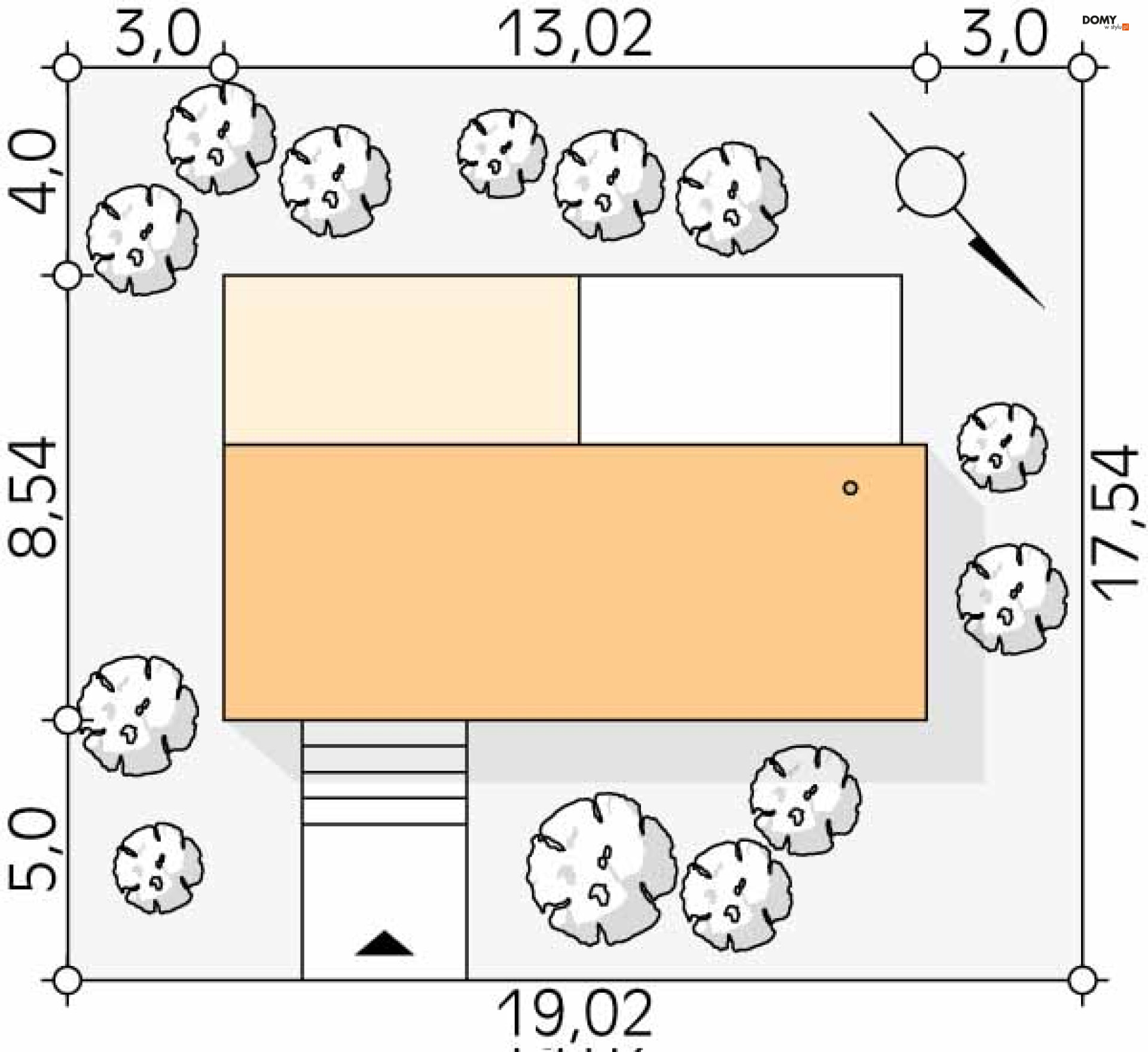 Śmiałek dr-S (DR-S)