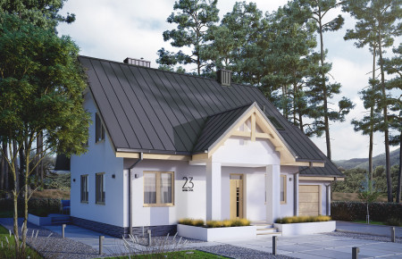 Pliszka (CE)