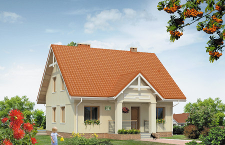 Pliszka 2 (CE)